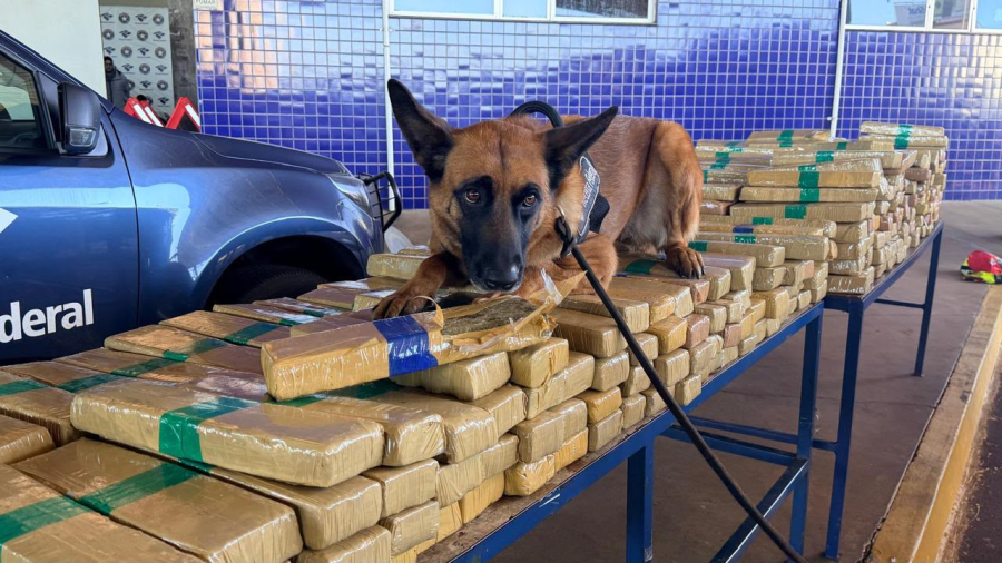 Receita Federal apreende meia tonelada de maconha na Ponte da Amizade